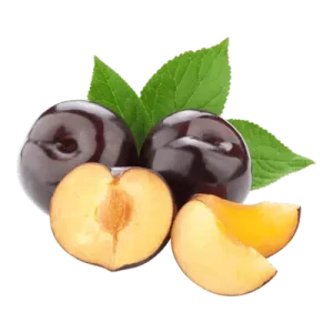 خرید نهال آلو
