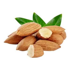 خرید نهال بادام