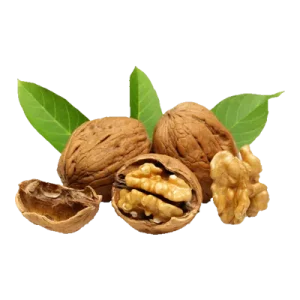 خرید نهال گردو