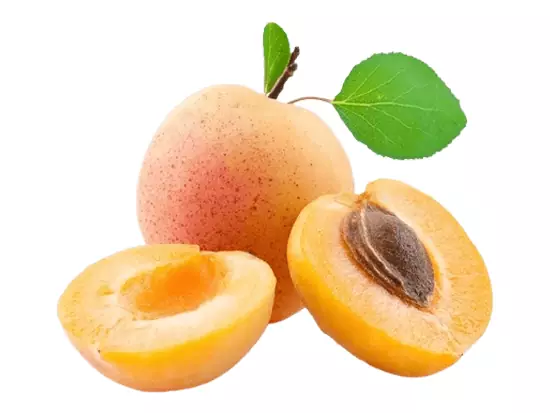 نهال زردآلو رکسانا